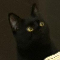 BBBBBird (@bbbbbird5) 's Twitter Profile Photo BBBBBird (@bbbbbird5) 's Twitter Profile Photo