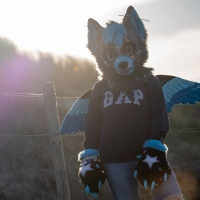 Hoshino π Furizon, EF29, Reffurence Profile