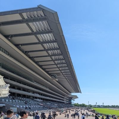 Toyoyuukun's profile picture. 競馬好きで推し騎手は外国人騎手です😄よろしくお願いします😄