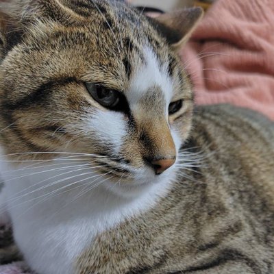 JBbmLJGH's profile picture. 真実の愛は、人生で最も切望される感情の一つでありながら、定義するのが難しい場合が多い。多くの人にとって、それは相手に対する深い愛情と崇拝という一般的な感情以外には、言葉で正確に表現できない感情である。