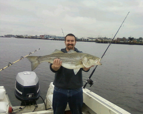 wguildford's profile picture. Avid outdoorsmen, Dog Trainer and football fan.