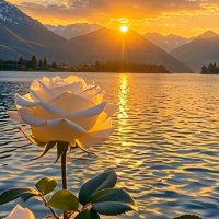 Yiğit can (@gokce_900) Twitter profile photo