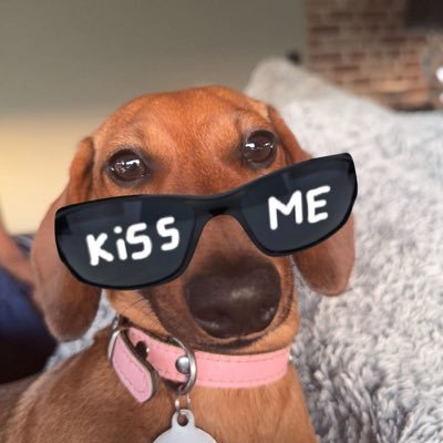 VxSioM's profile picture. ma grosse 🍟 @xReigns__