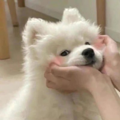 🌿ʚɞ˚ ༘✿ เป็นมัมหมีต้นหลิว 1000% 𖤐‧₊˚🖇️ ✩ ₊˚ | • @bbverpj + @tonliew_mtp = 🤍