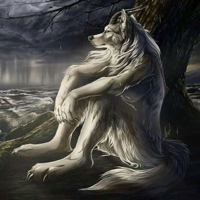 rockkyrockstar's profile picture. life suck , but i suck better