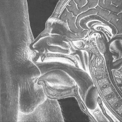 LNDFag's profile picture. Total greedy bottom for dominant males for raw sleazy sex. Preferably hung alpha assertive Bi or Gay Men. No females. 2025 🅱️🅱️ Load count; 72