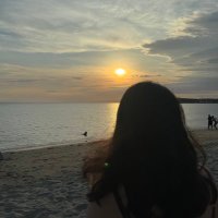 Kyo (@fruitykyo) 's Twitter Profile