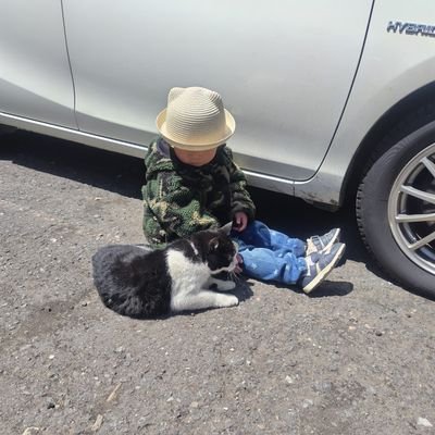 こかげ枝豆さんのプロフィール画像