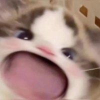 :) (@kaqabutan) 's Twitter Profile Photo