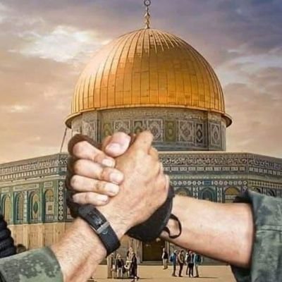 🔻Digital Volunteer @TeamAafiaOrg_ 🔻
I am from Pakistan and I support Palestine 🇵🇸❤ 🇵🇰 🔻
X activist @TeamAafiaOrg_