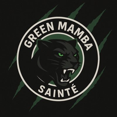 💚Fidèle supporter depuis 1999 à l’un des meilleurs clubs historiques de France 💚@ASSEofficiel #teamASSE #ASSE💚🔥ICI C’EST LE CHAUDRON🔥 💙Amitié #FCGB 🤍