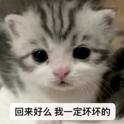 lemon520taylor's profile picture. 178 66 0m