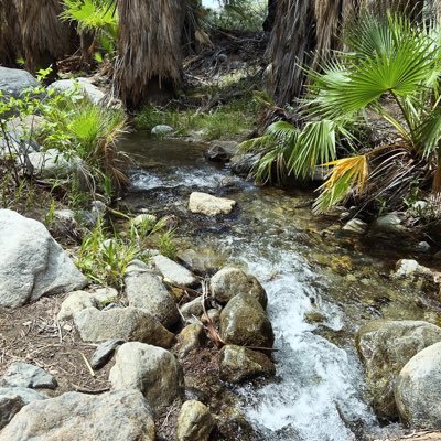 debdemoff's profile picture. 