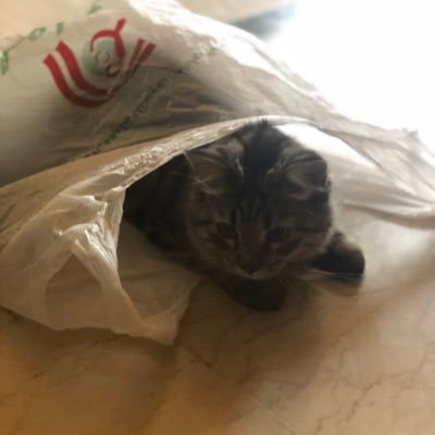 Mjeed98h's profile picture. ﮼تفاءل،بما،تهوى،يكن ...