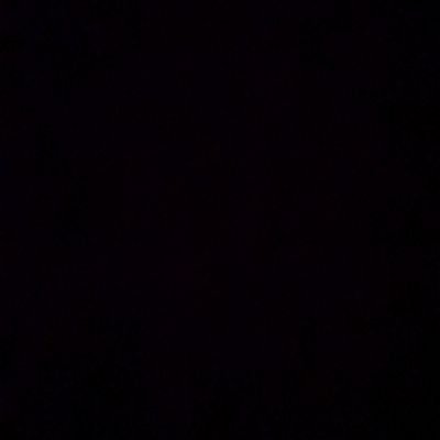 chansontheflo's profile picture. i/o