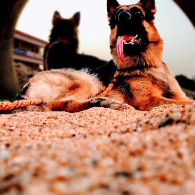 Fazil_7107's profile picture.