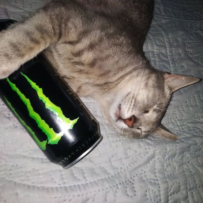 wirezshark's profile picture. Use Linux and Foss, unplug yourself.
