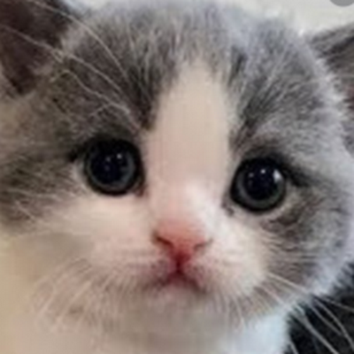 minali1449584's profile picture. 