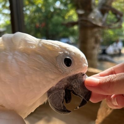 dmhanakko11689's profile picture. 三浦大知が好きすぎて、気持ちを発信したい情熱が我慢できずアカウントを作成しました。好きな物は何回も見るし、細かい仕草、小さいことを誰かと共感したいです。