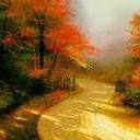 Alfred Richardson - @YsgAlfred - Twitter