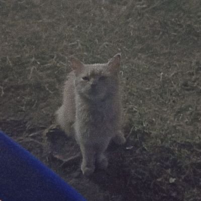 sombodytheree's profile picture. 🇵🇸🇵🇸