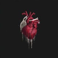 Hamad Al Rumaithi (@theavidhamad) 's Twitter Profile Photo