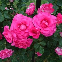 ゆう (@yuu_20240109) Twitter profile photo