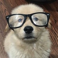 ³⁸ (@382b624) 's Twitter Profile