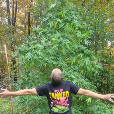 LamoureuxJ48023's profile picture. 