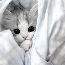 Marilee89240's profile picture. ♡