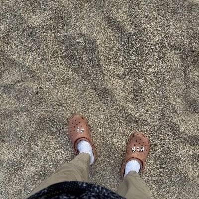 LinSammy2's profile picture. Sammy.lin☠️