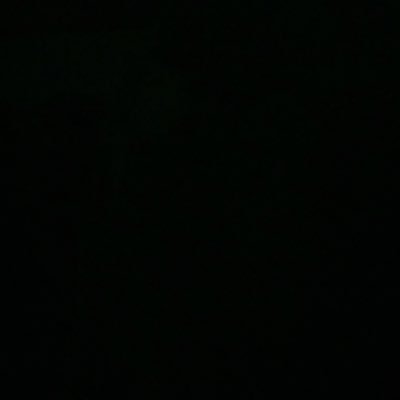 spacedout_sniff's profile picture. I. Hate. Pigeons.