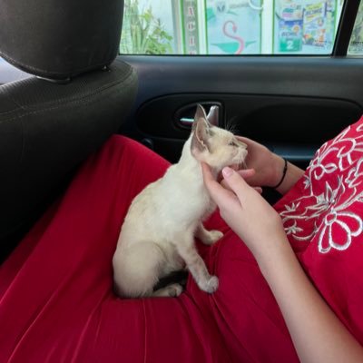 mariabmhb's profile picture. 