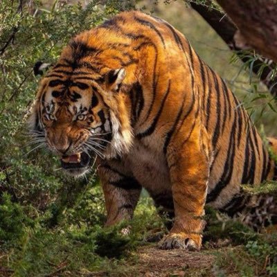 hudsondrums93's profile picture. 🇨🇦🇺🇸❤️🗽🌎