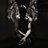 Account avatar for Suede HQ