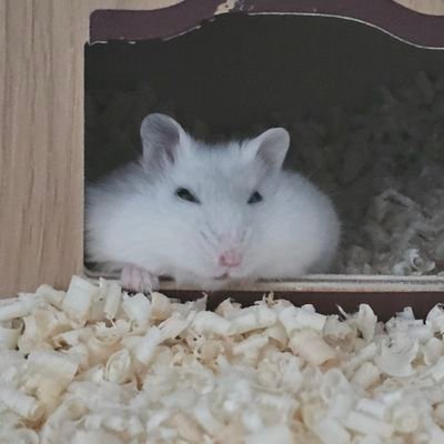 quick159's profile picture. Hello