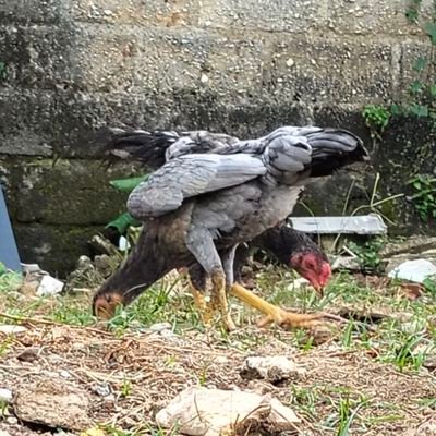memiliki kekuatan dalam menghadapi segala tantangan dan ujian yang Allah berikan kepada kita.. 🤲🤲