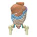 SicSemperAbdominus (@sicabdominus) Twitter profile photo SicSemperAbdominus (@sicabdominus) Twitter profile photo