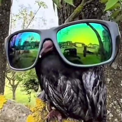 @Ye1L0wSt