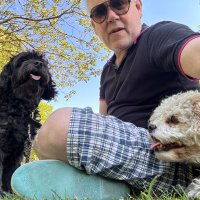 lee harpin (@lmharpin) 's Twitter Profile Photo lee harpin (@lmharpin) 's Twitter Profile Photo