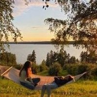 Qoegee (@qoegee345) 's Twitter Profile