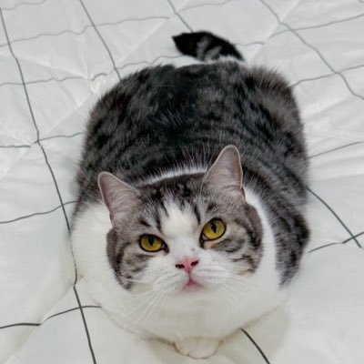 chadaporn7187's profile picture. 