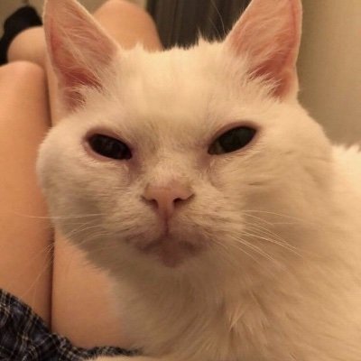 Lilia115783's profile picture. Shananagans. 25. She/Her.