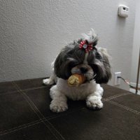 David Marissa (@davidmaris60289) 's Twitter Profile