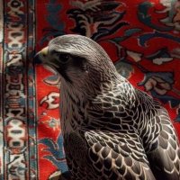 فهد الشمري 🎗️⚖️. (@f_h_d33) Twitter profile photo