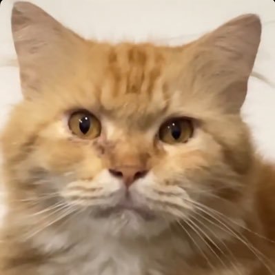 sebatafterturu's profile picture. jaehyun udh tau gue hidup