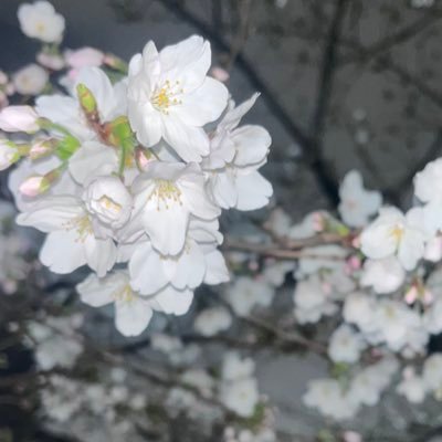 ちゅんさんのプロフィール画像