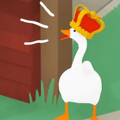 Goose, the Everything Bird Profile