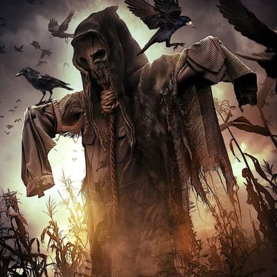 Von48303411's profile picture. vjobs00proton.me@proton.me