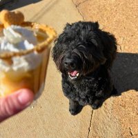 Evan Grigsby (@squeeze2023) 's Twitter Profile